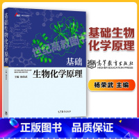 [正版]基础生物化学原理 杨荣武