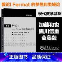 [正版]数论I Fermat 的梦想和类域论 加藤和也 黑川信重 斋藤毅 胥鸣伟 印林生 高等教育出版社现代数学基础1