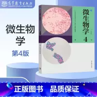 [正版]微生物学 第4版第四版 辛明秀 黄秀梨 高等教育出版社