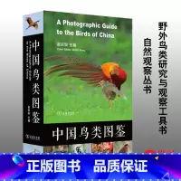 [正版]中国鸟类图鉴 赵欣如 商务印书馆