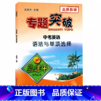 (中考英语)语法与单项选择 初中通用 [正版]孟建平专题突破 中考英语语法与单项选择ZT441含答案解析 初中初三九年级
