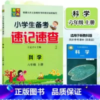 [正版]2024新版 备考宝典 小学生备考速记速查 科学 六年级上册教科版JK 6年级上册科学备考复习手册口袋本知识点