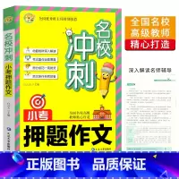 语文 [正版]小蜜蜂 新版名校冲刺小考押题作文 班主任小学六年级小考作文辅导书小升初写作攻略半命题材料自拟题作文满分作文