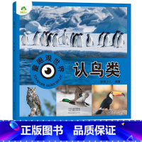 认鸟类(高清彩图注音) [正版]爱德少儿童眼观世界立体书认鸟类 各种鸟类认识介绍书4-8岁宝宝儿童绘本看图识物书籍启蒙益