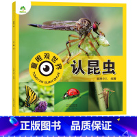 认昆虫(高清彩图注音) [正版]爱德少儿童眼观世界立体书认昆虫 自然界昆虫认知介绍4-8岁宝宝儿童绘本看图识物书籍启蒙益