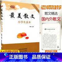 [正版]美散文小学生读本4四5五6六年级散文阅读理解写作国内外当代现代散文集朗读阅读赏析鲁迅朱自清矛盾等散文作品精选学