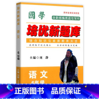 语文竞赛题库 小学六年级 [正版]国学培优新题库 语文 6年级语文竞赛题库上下册通用语文综合知识素质教育大全小学生六年级