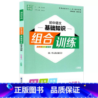 语文基础知识 九年级上 [正版]2023通成学典 初中语文基础知识组合训练九年级上册人教版同步练习初三9年级上册语文基础