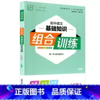 语文基础知识 九年级上 [正版]2023通成学典 初中语文基础知识组合训练九年级上册人教版同步练习初三9年级上册语文基础