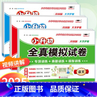 全套3本[语文+数学+英语] 小学升初中 [正版]2024培优小升初全真模拟试卷语文数学英语必刷题人教版小学毕业系统总复