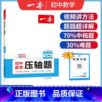 初中数学压轴题 七年级 [正版]2025版初中数学压轴题7七年级上下册数学解题思维训练题视频讲解一题多解拓思路初一7年级