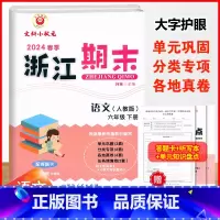 语文.人教版 六年级下 [正版]2024春季浙江期末六6年级下册语文期末冲刺总复习试卷6年级下册人教版语文单元检测卷基础