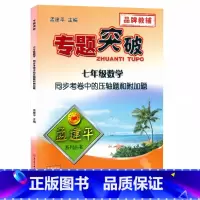 (数学)考卷中的压轴题和附加题 七年级 [正版]孟建平专题突破7七年级数学同步考卷中的压轴题和附加题ZT312答案解析