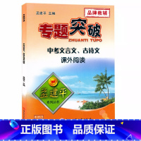 (中考)文言文.古诗文 初中通用 [正版]孟建平专题突破 中考文言文.古诗文课外阅读ZT243初中初三九年级语文中考文言