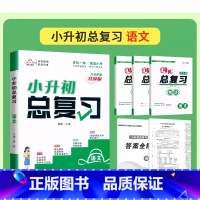 语文[外送模拟卷] 小学升初中 [正版]2024新版培优小升初语文总复习升级版精讲精练阅读理解小学六6年级语文毕业总复习