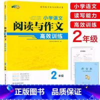 阅读与作文 小学二年级 [正版]2024小桔豆小学语文阅读与作文高效训练2二年级上下册通用人教版语文读写能力优化训练阅读