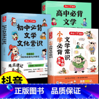 3本 小学+初中+高中文学常识 [正版]初中必背文学文化常识2025版文学常识积累大全导图版中国文学文化常识阅读文言文全