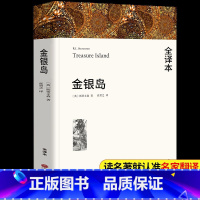 金银岛 [正版]金银岛 斯蒂文森著 原著完整版无删减中文版附插图 成人小学生初中生高中生阅读课外书课外阅读书籍世界经典文