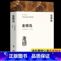 金银岛 [正版]金银岛 斯蒂文森著 原著完整版无删减中文版附插图 成人小学生初中生高中生阅读课外书课外阅读书籍世界经典文