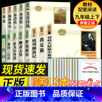 [人教版13册]九上+九下全套课外书 [正版]简爱和儒林外史九年级下册必读名著人民教育出版社完整阅读无删减初中生初三上册