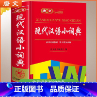 唐文现代汉语小词典 [正版]中小学生现代汉语小词典初中生小学生人教版语文常用实用多功能四字词语解释大全组词造句带拼音书汉