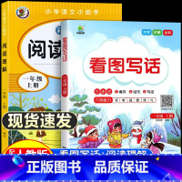 [全6册]全套专项训练 一年级上 [正版]2024秋看图写话一二年级专项训练上下册书每日一练小学生一二年级看图说话阅读理