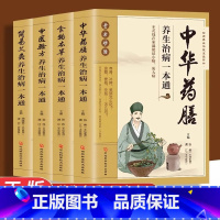 [正版]全套4册中华药膳养生治病一本通本草纲目食物本草中药药膳养生汤中医食疗家常菜谱营养餐烹饪美食食谱 家庭健康保