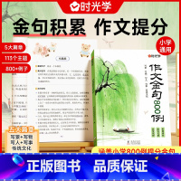 作文金句800例 小学通用 [正版]作文金句800例小学作文好开头好结尾优美段落好词好句好段素材写作技巧高分小学生优美句