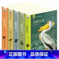 世界鸟类图鉴(全5册 全彩插图 硬壳精装版) [正版]世界鸟类百科图鉴全5册 自然界生物五大洲了解鸟类知识科普读物艺术鉴
