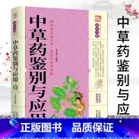中草药鉴别与应用 [正版]中草药鉴别与应用 中药草药药材识别品种书籍本草纲目黄帝内经系列经典书籍图解中草药实用大全常用中