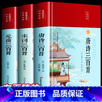 唐诗+宋词+元曲三百首 [正版]3册布面精装唐诗三百首宋词三百首元曲三百首全注全译全解全集中国古诗词大全集鉴赏赏析辞典小