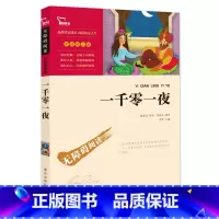 [正版]一千零一夜书籍五年级上册名师导读阿拉伯民间故事书籍6-8-10-12周岁小学生课外书青少年版书籍