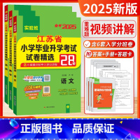 备考2025[3本]语数英 小学升初中 [正版]2025新版江苏省小学毕业升初中考试卷精选28套卷语文数学英语2025春