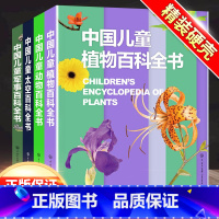 [全套4本]中国儿童系列全套 [正版]中国儿童军事百科全书精装兵器武器科普世界枪械战争类6-7-8-9-10岁军事知识常