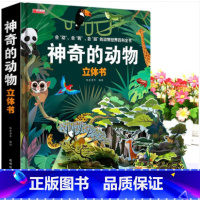 [3D震撼立体书]神奇的动物 [正版]神奇的动物 昆虫立体书揭秘系列儿童3d翻翻书绘本故事书3-6-8岁以上科普百科情景