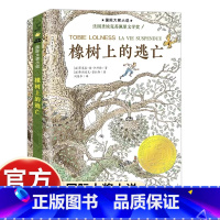 [新蕾国际大奖]橡树上的逃亡 [正版]国际大奖小说35公斤的希望新蕾出版社小学生三四五六年级课外书必读老师阅读人教版纽伯