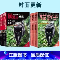 猫武士外传 短篇小说5本 [正版]猫武士外传短篇小说未曾公开的故事 族群秘事族群阴影武士之路等等9-16岁 外国儿童文学