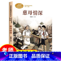 [五年级上册]慈母情深(人教版) [正版]青岛出版社我们的汉字任溶溶系列培养母语文化趣味故事书文字的起源到演变入选中国好