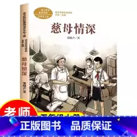 [五年级上册]慈母情深(人教版) [正版]青岛出版社我们的汉字任溶溶系列培养母语文化趣味故事书文字的起源到演变入选中国好