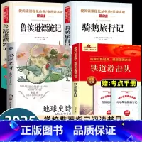 [山东寒假六年级]全套4册 [正版]2025山东省寒假读好书六年级课外书必读地球史诗46亿年有多少远铁道游击队鲁滨逊漂流