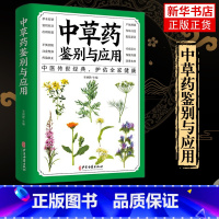 [中医入门]6册礼盒装 医宗金鉴 [正版]彩图大全书中草药鉴别与应用养生保健指南详解药材性能古方验方偏方药膳方剂公开对症