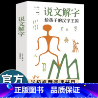说文解字给孩子的汉字王国 [正版]少儿说文解字许慎注音版小学生一年级课外书必读老师经典进课堂精读教本800副图画了解汉字