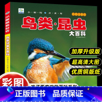 [彩图注音版]鸟类.昆虫大百科 [正版]小眼睛看世界昆虫鸟类大百科全书认识图鉴中国野外观察手册儿童彩图注音版小学生一二年