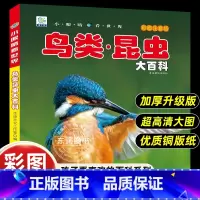 [彩图注音版]鸟类.昆虫大百科 [正版]小眼睛看世界昆虫鸟类大百科全书认识图鉴中国野外观察手册儿童彩图注音版小学生一二年