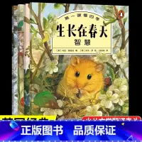 第一眼看四季(全套4册) [正版]4册第一眼看四季的变化科普认知绘本一年级必读课外书老师经典小学语文同步阅读春夏秋天冬季