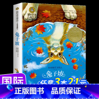 [国际大奖]坡 [正版]书 小海蒂 国际大奖儿童文学系列小说小学生二三四五年级课外书必读老师阅读世界经典会飞的教室捣