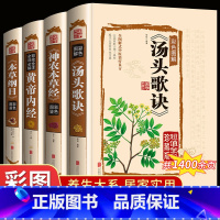 [中医入门]6册礼盒装 医宗金鉴 [正版]4册本草纲目李时珍黄帝内经全集神农本草经彩图版汤头歌诀白话解原著全套图解原版古