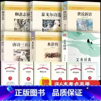[九年级上必读]课外书(6册送考点) [正版]草房子曹文轩孤独之旅百年百部中国儿童文学经典书系初中生九年级上册必读课外书