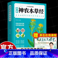 [正版]彩图神农本草经原版倪海厦人卫同款古籍原版释译导读零基础学中医四大名著入门大全中国古代中药巨著熟知药材知识运用药
