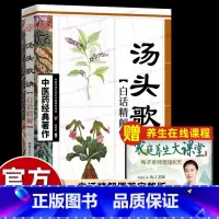 [正版]中医汤头歌诀白话解专家解读药学巨著教科书中药方剂汤剂诗歌新手习诵易记忆清代王昂零基础自学中医入门书籍大全好者收